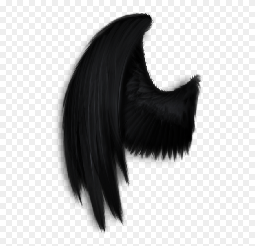 #darkangel #angelwings #angels #angel #wings #feathers - Black Wings Angel Png Clipart