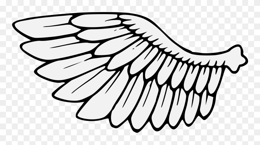 1414 X 731 - Bird Wings Clipart - Png Download