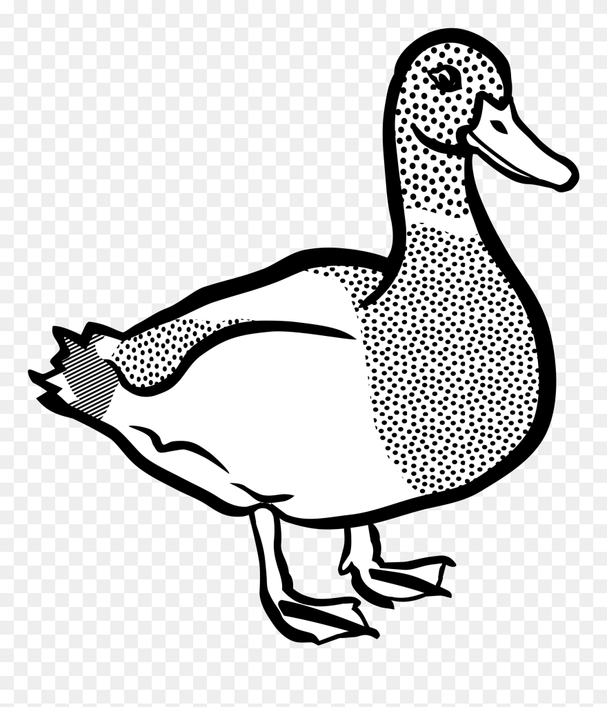 Duck Lineart Big Image - Duck Clipart Black And White Png Transparent Png