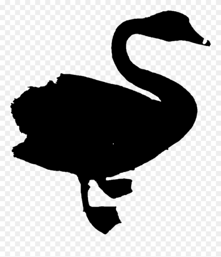 Duck Goose Clip Art Fauna Silhouette - Black Swan - Png Download