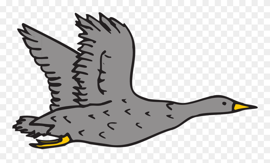 Gray Goose Clip Art - Png Download