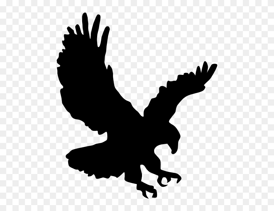 Transparent Hawk Clipart - Clip Art Eagle Png