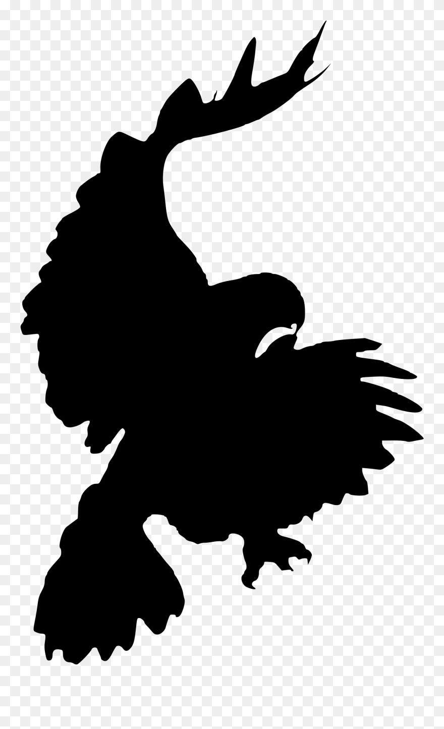 Bird Red-tailed Hawk Clip Art - Png Download