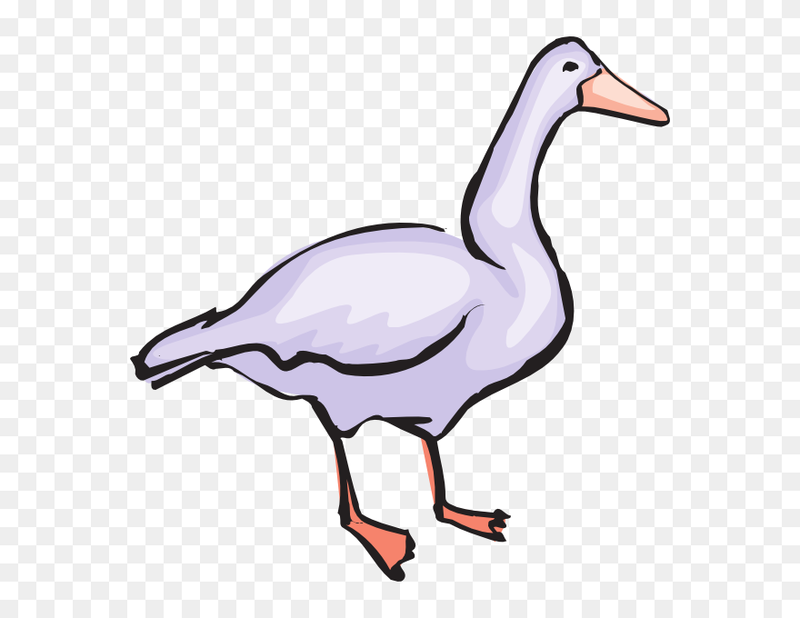 Clip Art - Png Download