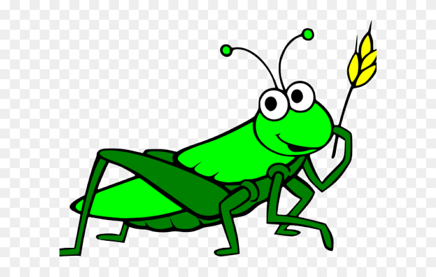 Clip Freeuse Download Grasshopper Clipart Cartoon - Grasshopper Clipart Transparent - Png Download