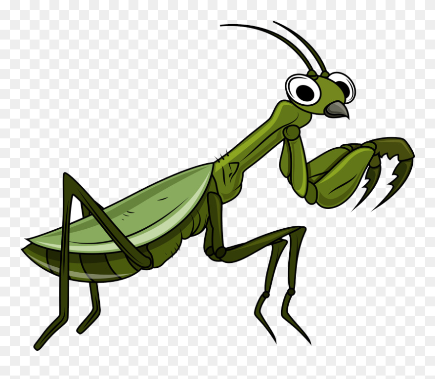 Svg Library Download Grasshopper Cartoon Clip Art Transprent - Clip Art - Png Download