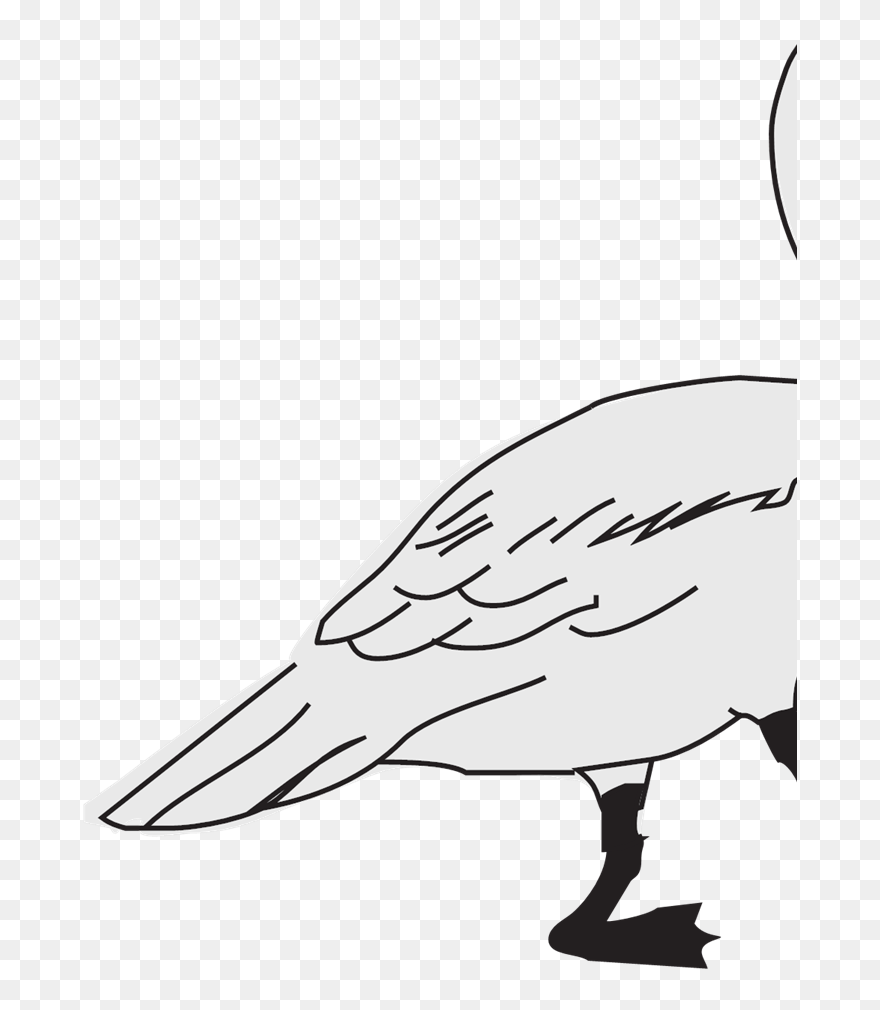 Clip Art - Png Download