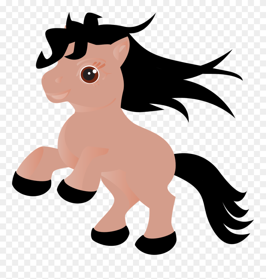 Konik Grafika Clipart