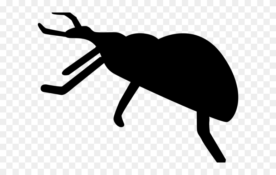 Clip Art - Png Download