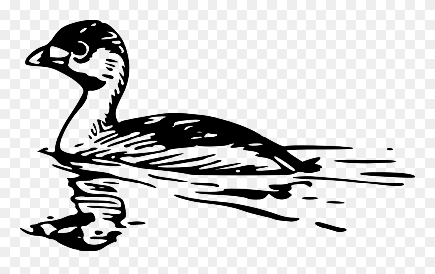 Goose Clipart Mama Duck - Duck In Water Black White Clipart - Png Download