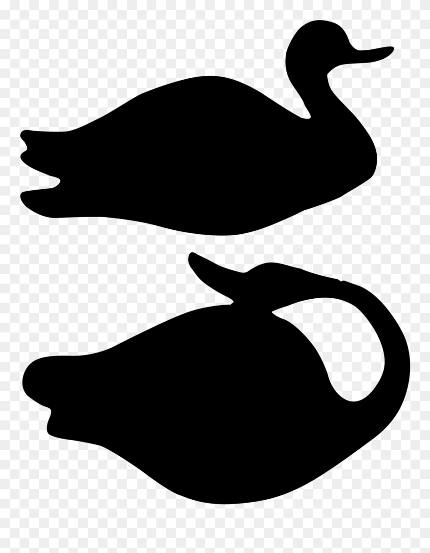 Duck Goose Clip Art Silhouette Beak - Duck - Png Download