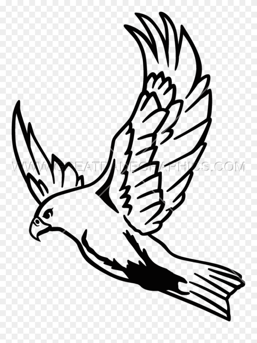 Falcon Clipart Muscular - Easy Flying Falcon Drawing - Png Download