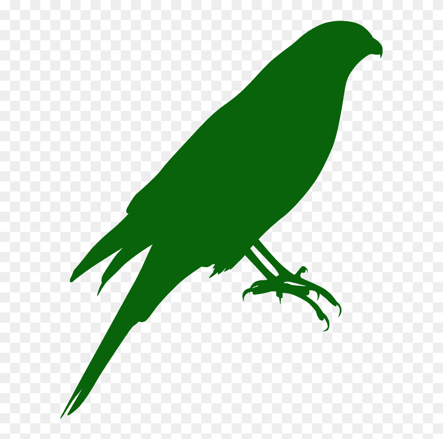 Eurasian Sparrowhawk Clipart