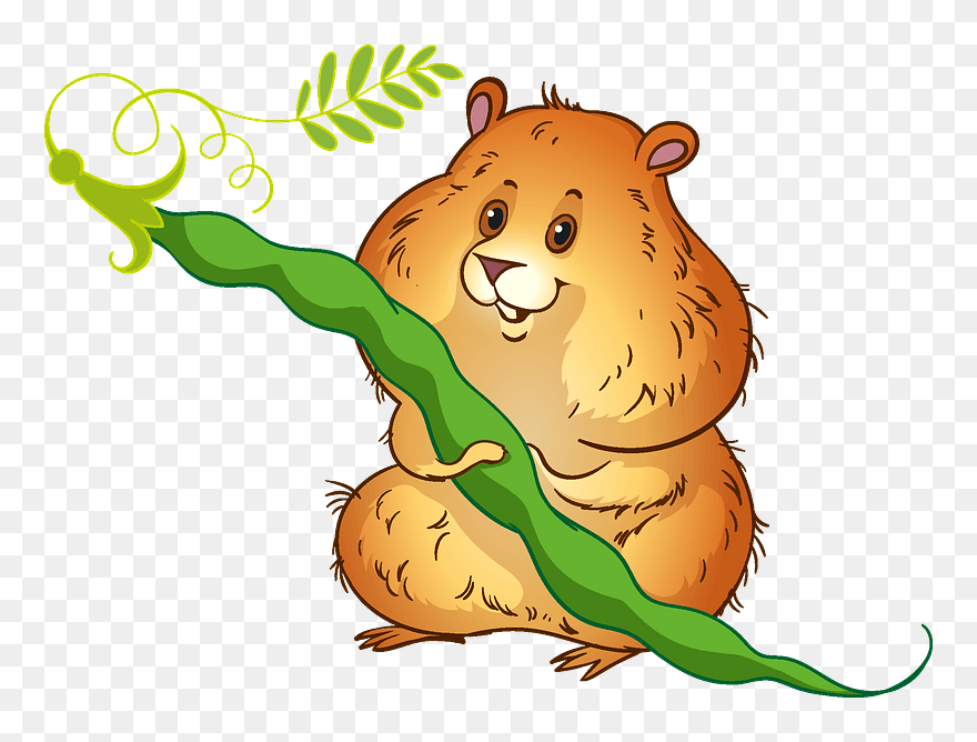 Hamster Clipart - Cartoon - Png Download