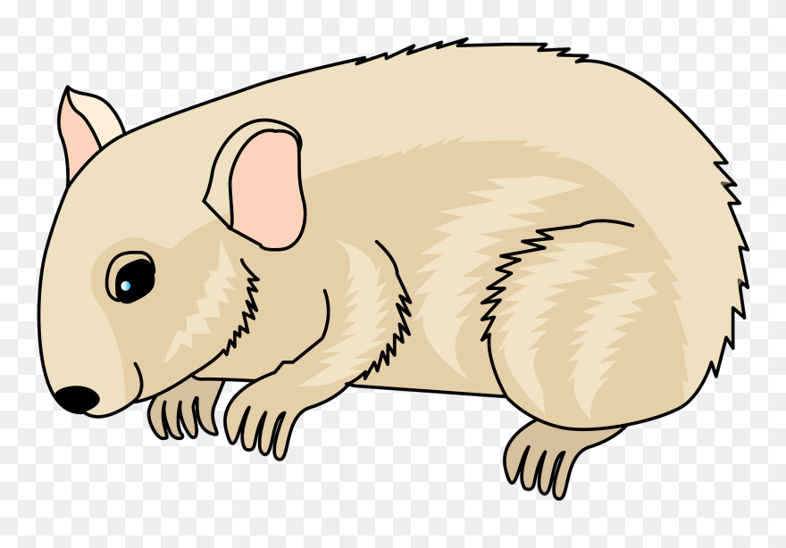 Dog Clipart