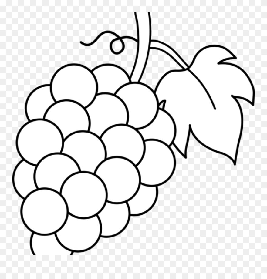 Grape Clipart Line Art - Grapes Clipart Black And White - Png Download