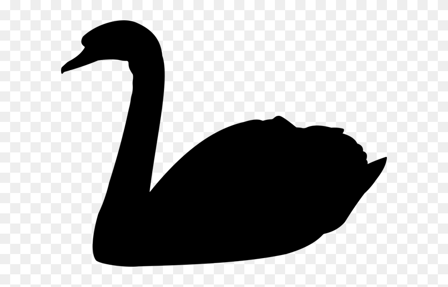 Mute Swan Black Swan Vector Graphics Bird Clip Art - Png Download