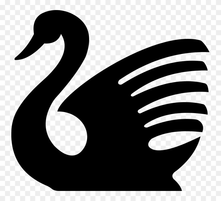Black Swan Silhouette Drawing Clip Art - Clipart Swan - Png Download