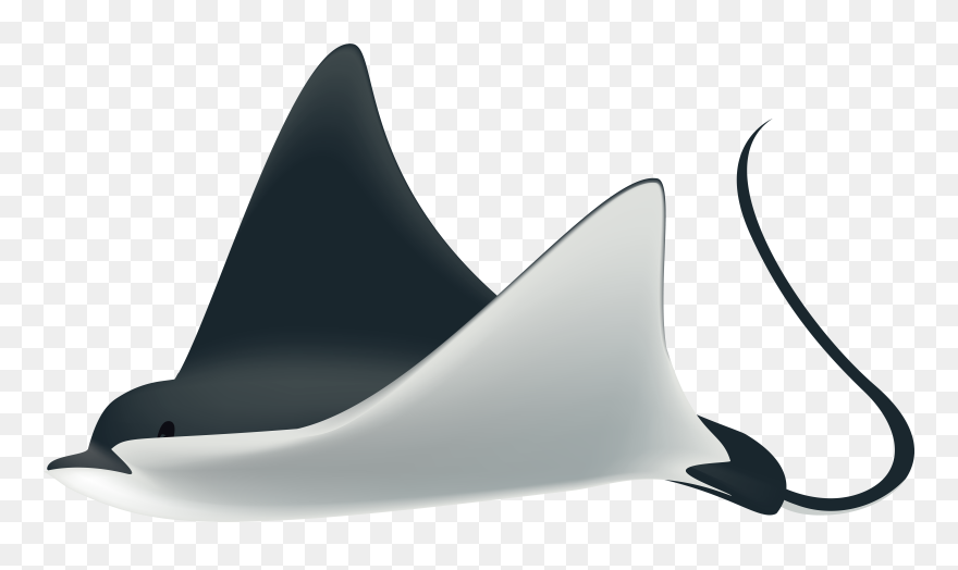 Sunny Fish Clipart Transparent Library Ray Clipart - Rays Png Fish