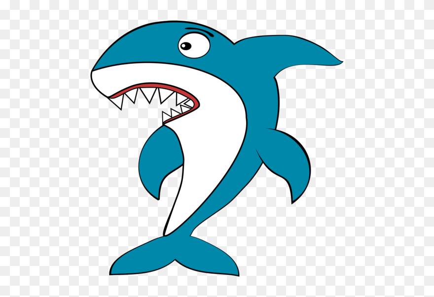 Dolphin,whales Dolphins And Porpoises,area - Shark Clipart - Png Download
