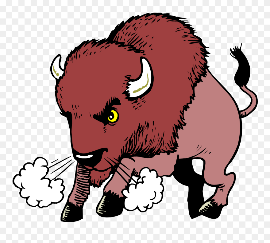 Bison Clip Art - Png Download