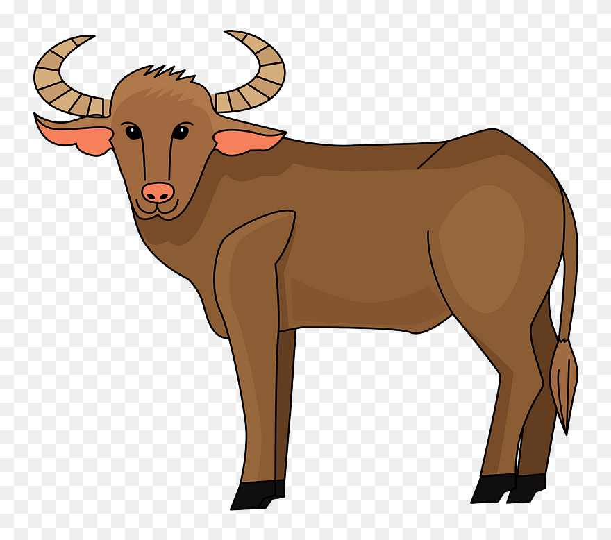 Buffalo Clipart - Png Download