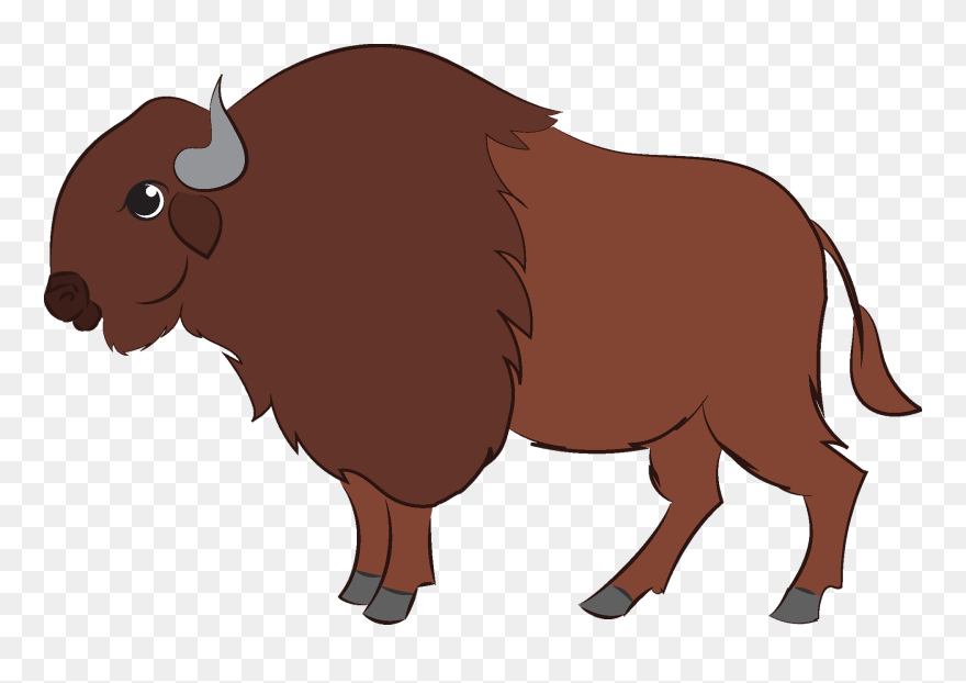 Bison Clipart