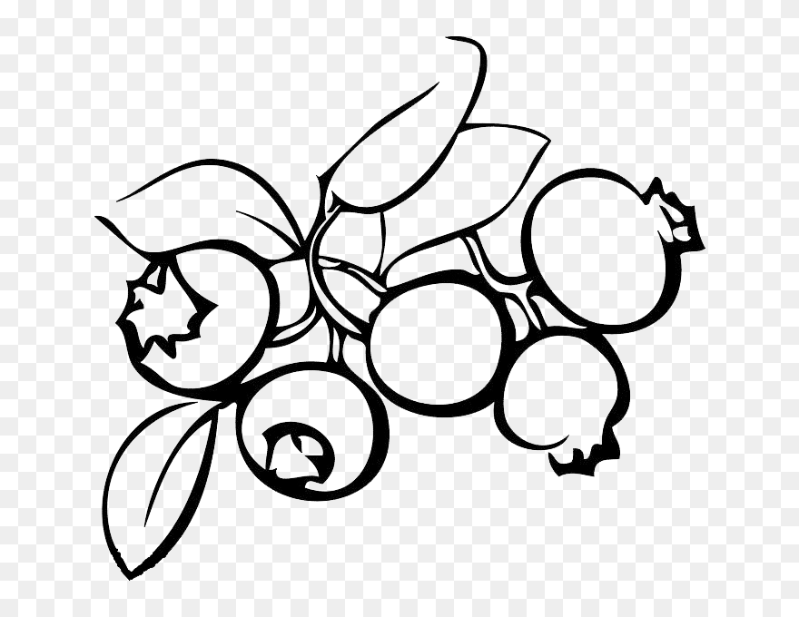 Transparent Blueberries Clipart Black And White - Black And White Blueberry Clip Art - Png Download