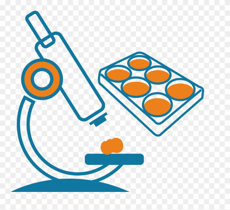 Engineering Clipart Biomedical Engineer, Picture - Biomedical Engineering Clipart - Png Download