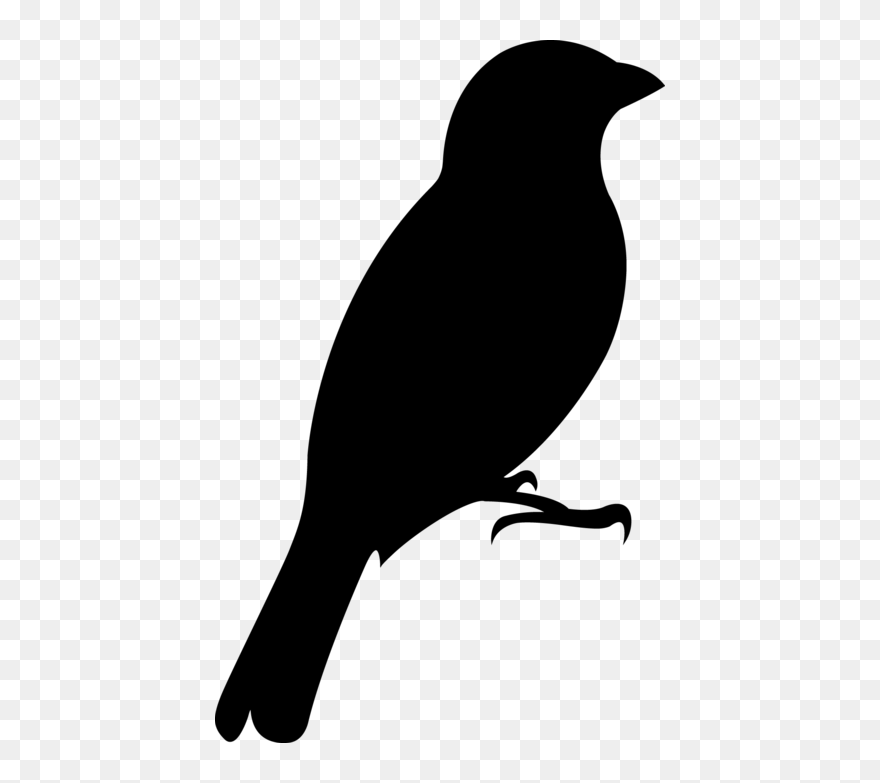 Oriole Publishing For Wind Quintet / Woodwood Quintet - Perching Bird Clipart