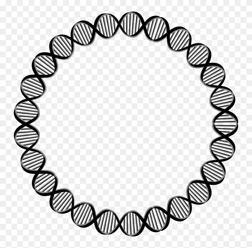 Dna Circle Gene Clip Art - Circle Outline Design Png Transparent Png