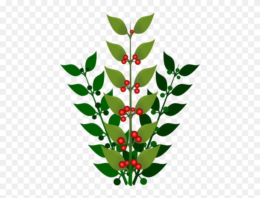 Plant,flower,leaf - Berries On A Tree Clipart - Png Download