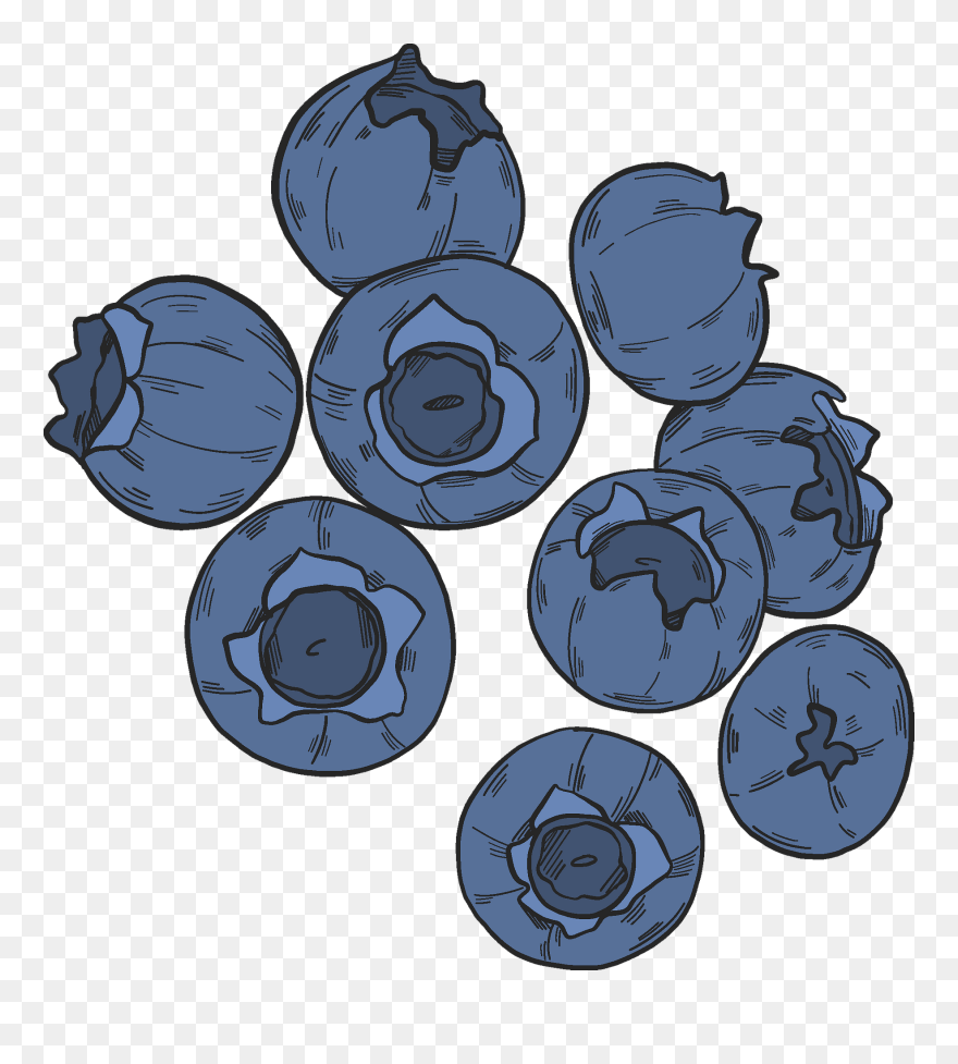 Blueberry Clipart
