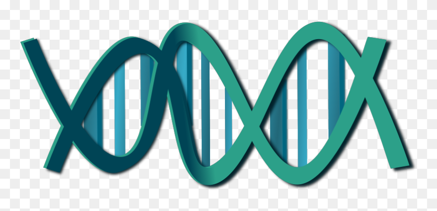 Bw Dna Svg Clip Arts - Biologia - Png Download