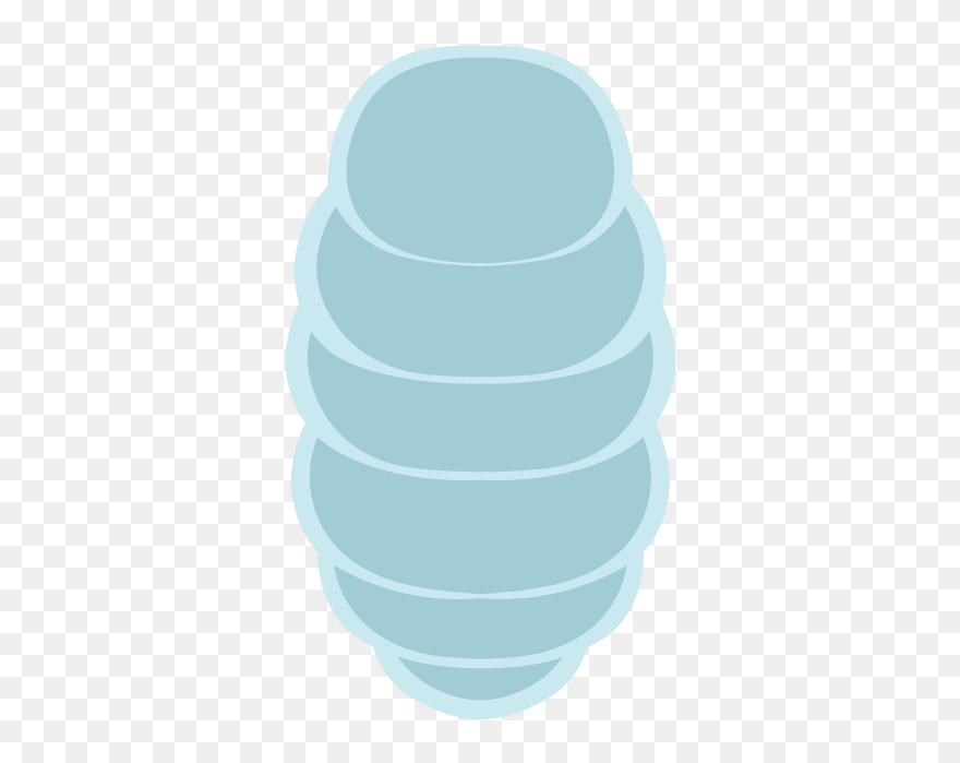 Illustration Clipart