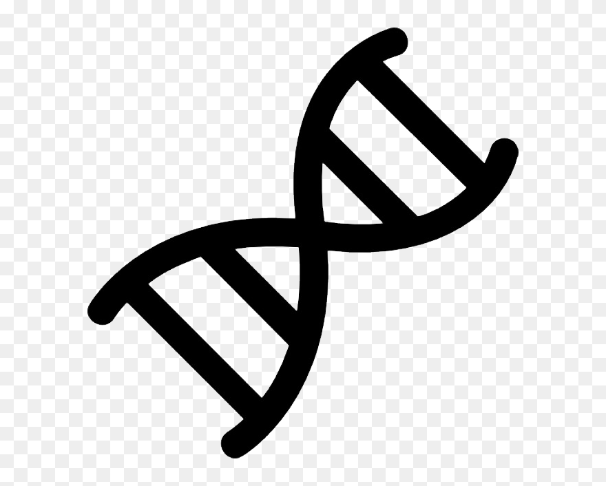 Dna Png Clipart