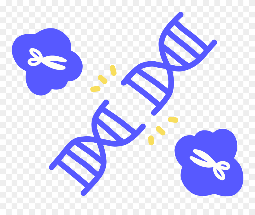 Image Of Blue Dna Being Cleaved In Half By Proteins - Chromosome Black And White Clipart