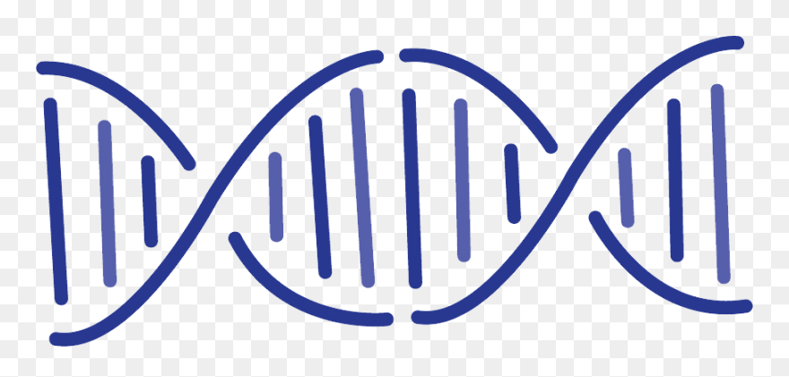 Dna Png - Transparent Background Genes Clipart