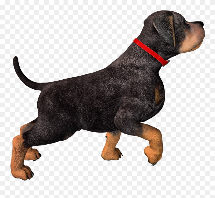 Hunting Dog Png Hd Transparent Hunting Dog Hd Images - Dog With Collar Png Clipart