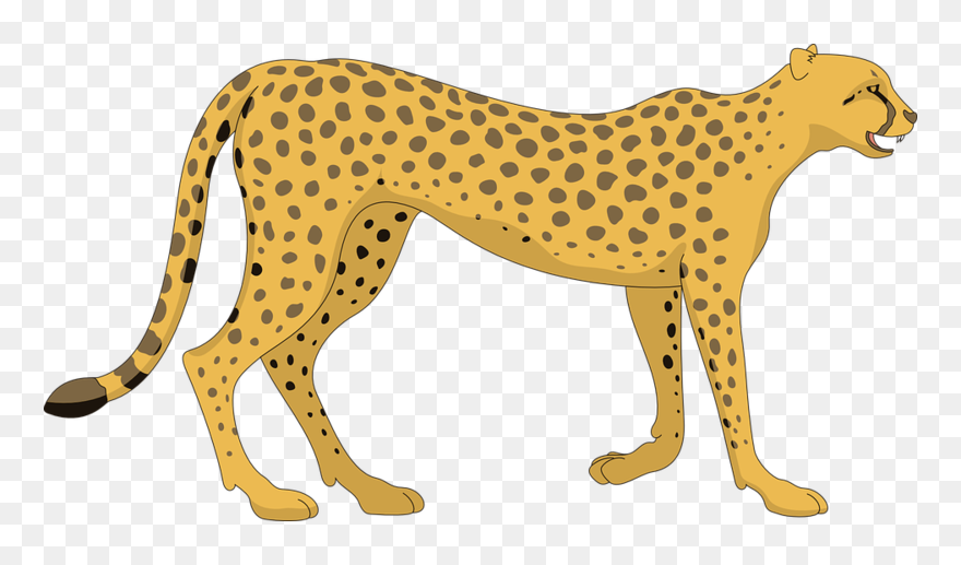 Cat Cheetah Walking Animal Ta - Cheetah Clipart - Png Download