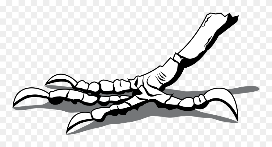 Crow Leg Drawing Clipart