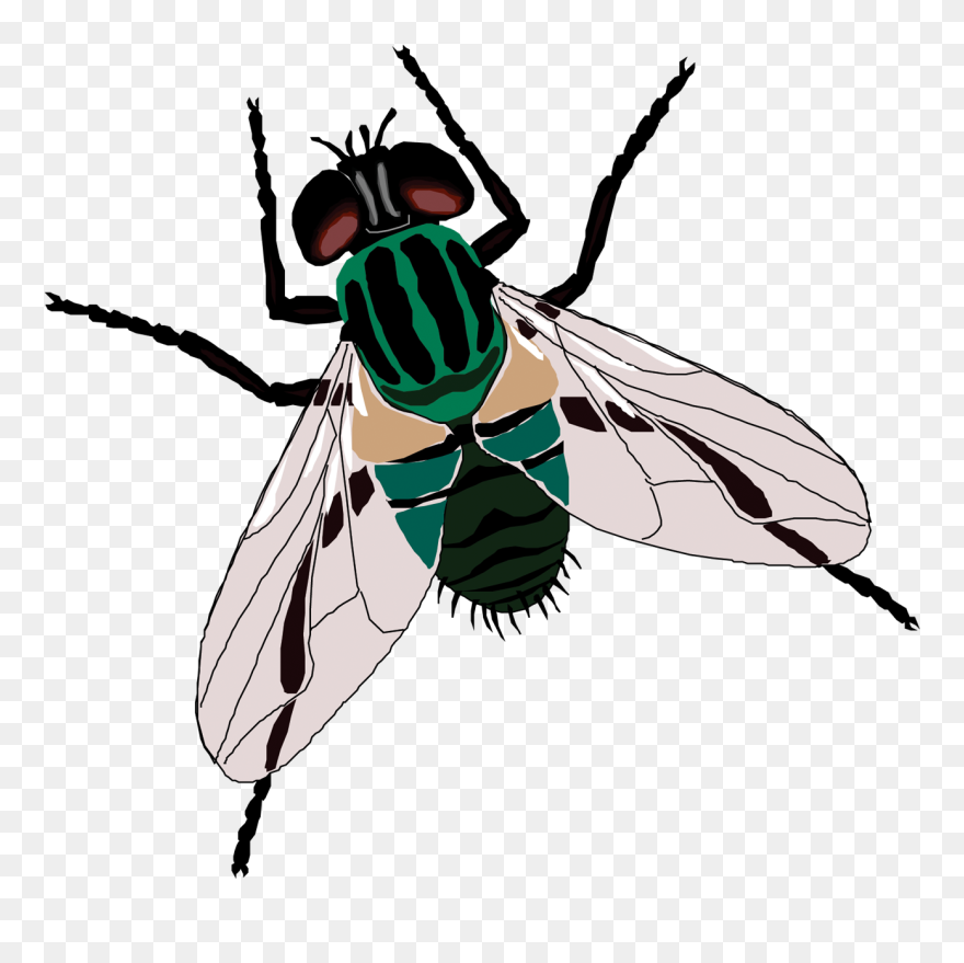Fly Sticker Toilet Clip Art - Fly Clipart Transparent Background - Png Download