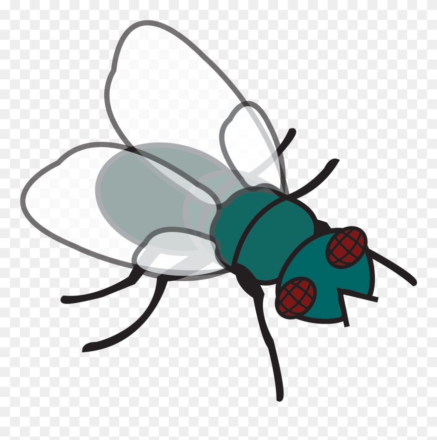 Transparent Fly Swatter Png - Flies Clip Art