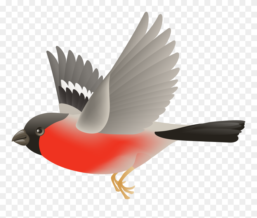 Bird Flying Clipart Transparent Jpg Library Library - Png Download