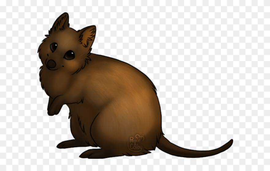 Transparent Quokka Clipart