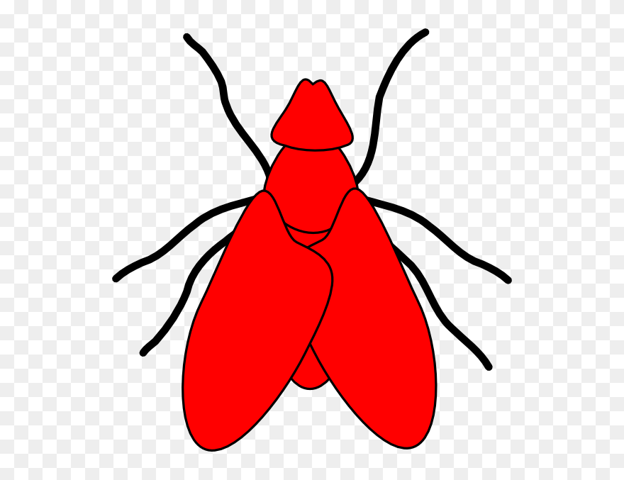 Transparent Fly Clipart - Fly Png Red