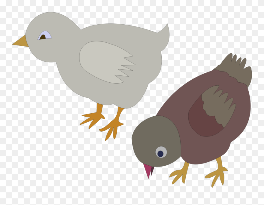 Transparent Chicken Clipart - Gambar Animasi Ayam Makan - Png Download