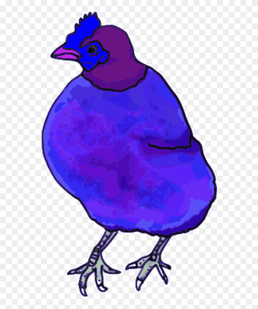 Vector Clip Art - Chiken - Png Download