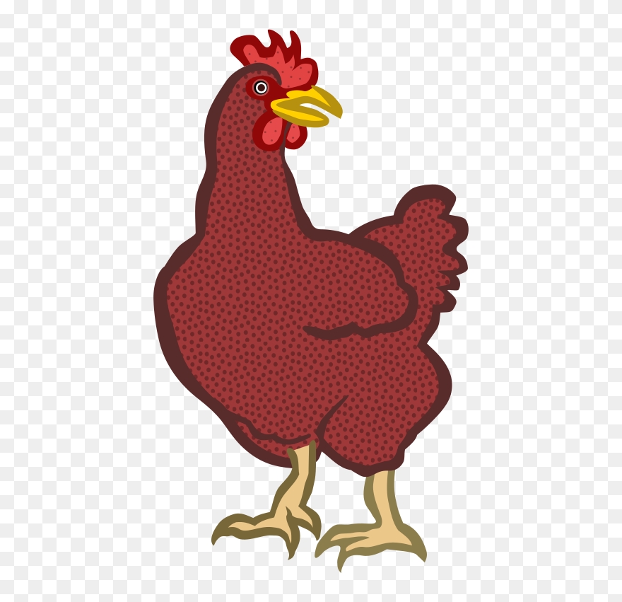 Beak Clipart Hen - Chickens Clipart - Png Download