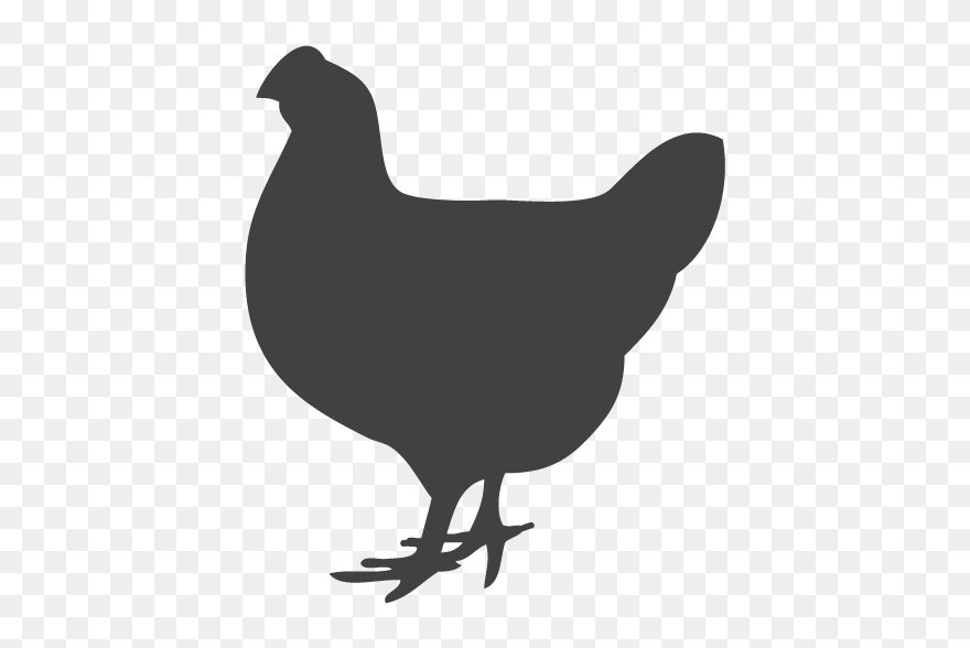 Rooster Chicken Silhouette Clip Art - Png Download